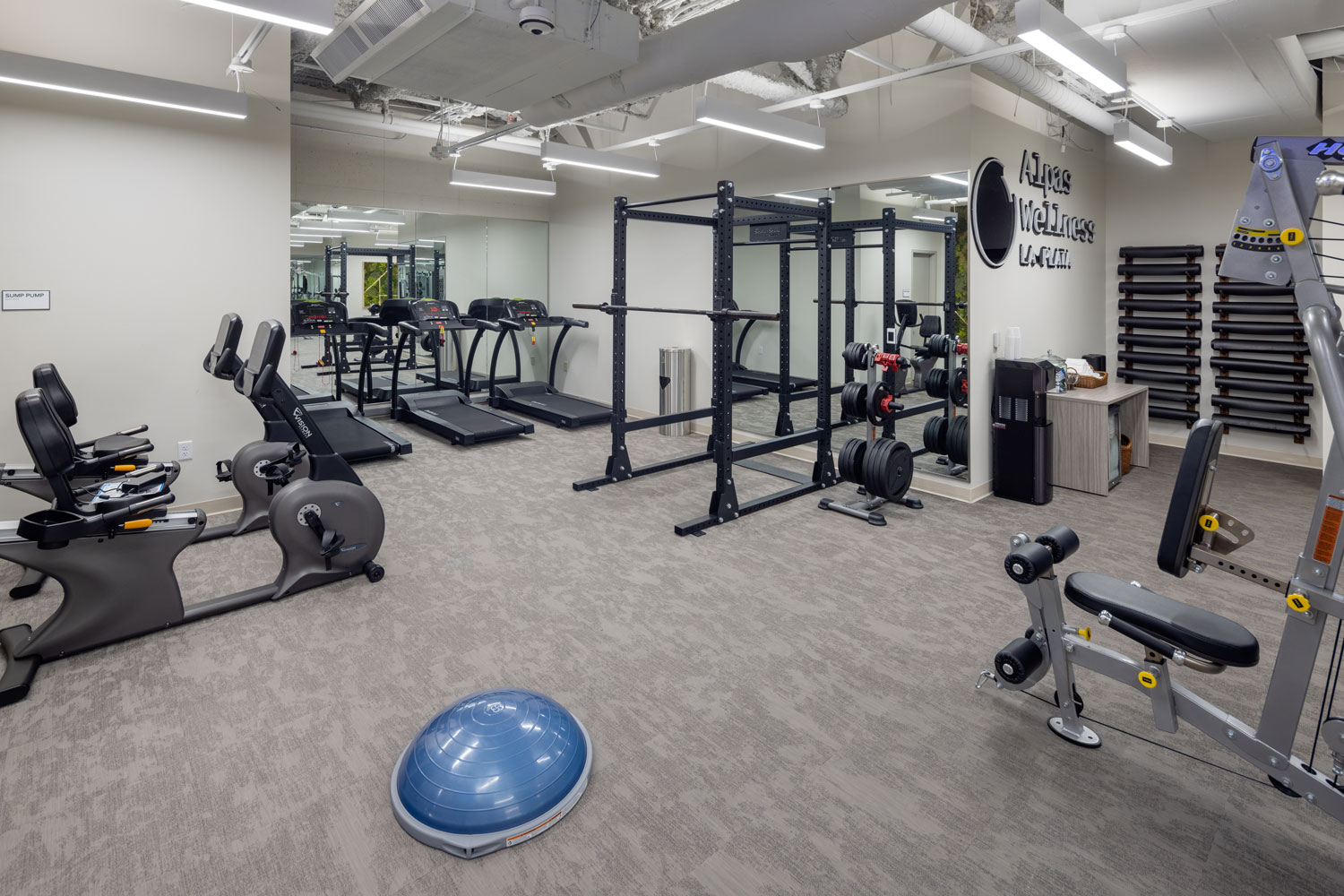Alpas Wellness Maryland Gym: treadmills, weight machines and exercise bikes
