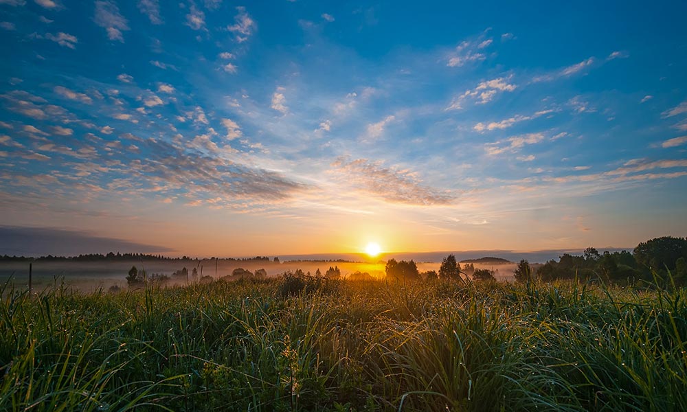 Remember that letting go makes room for peace of mind, meaningful relationships, purpose, and freedom to help others.