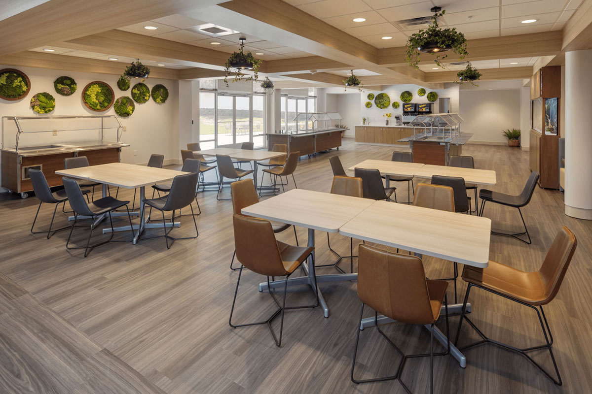 Modern cafeteria with wooden tables, brown and gray chairs, circle plant décor on walls.